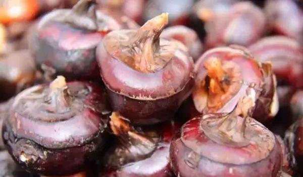 番禺正宗马蹄粉,番禺马蹄粉做法