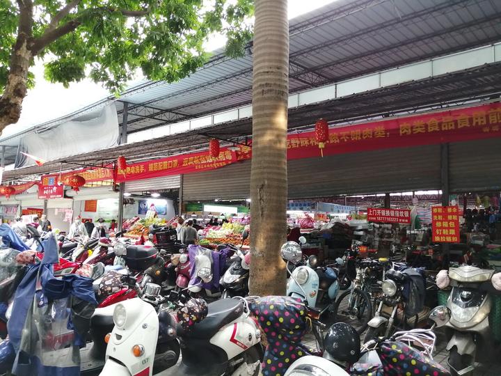 今日南宁市菜市场,南宁街头菜市场