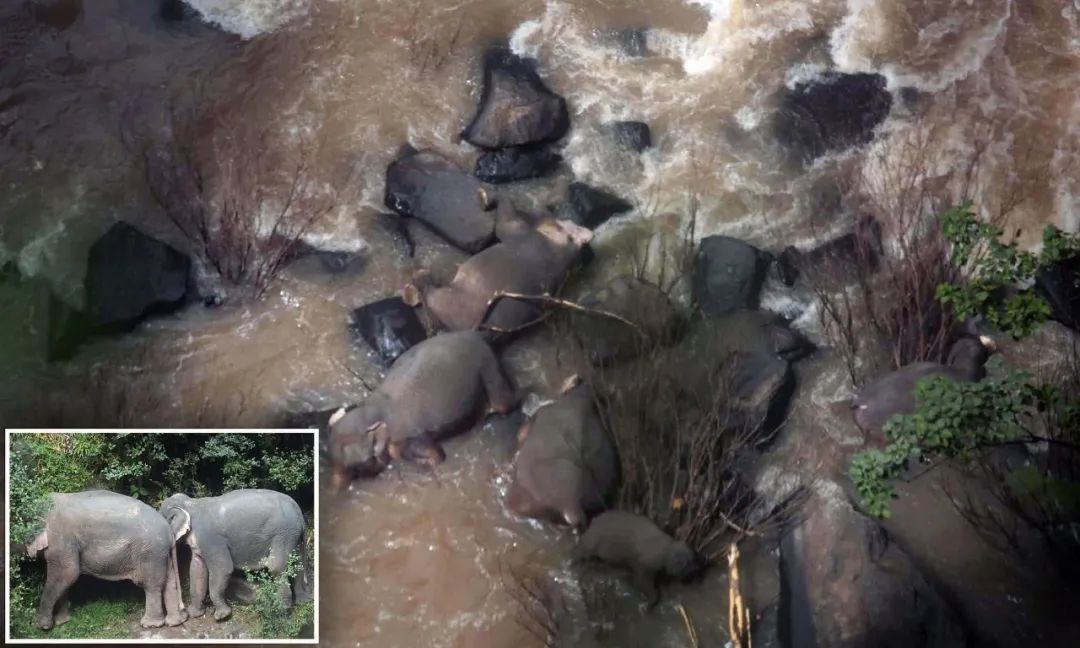 他们被杀之后，依然在爱你