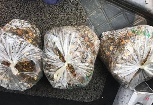 养花如何沤制土,要怎么养花才不会烂根