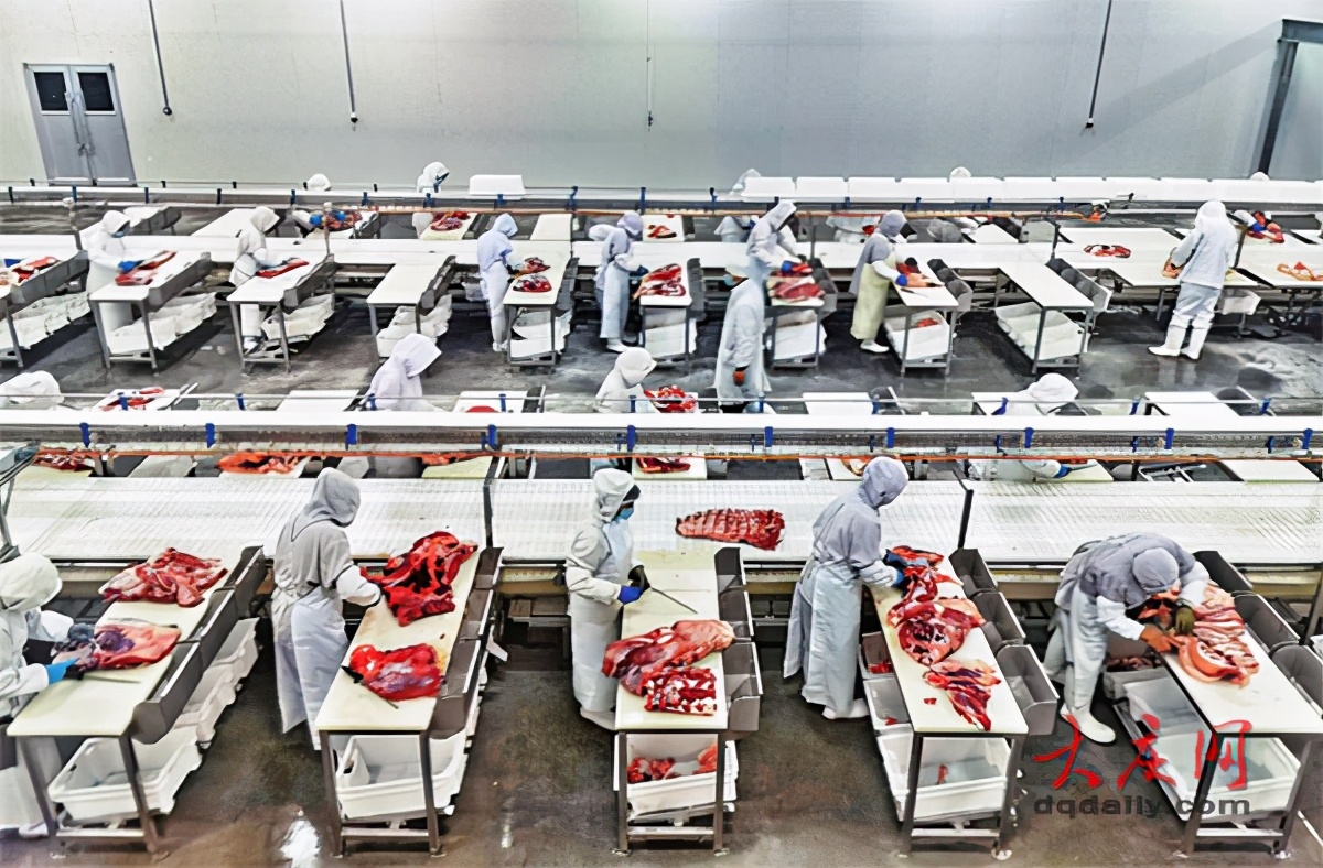 大庆肇州皓月,大庆市肇州皓月