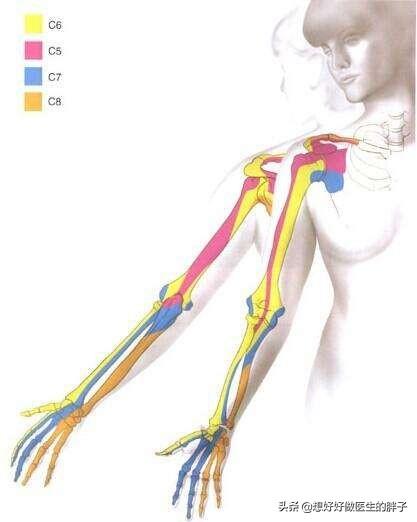 左侧肩膀疼痛预示十种病,哪些病可引起肩膀痛后背痛颈椎痛