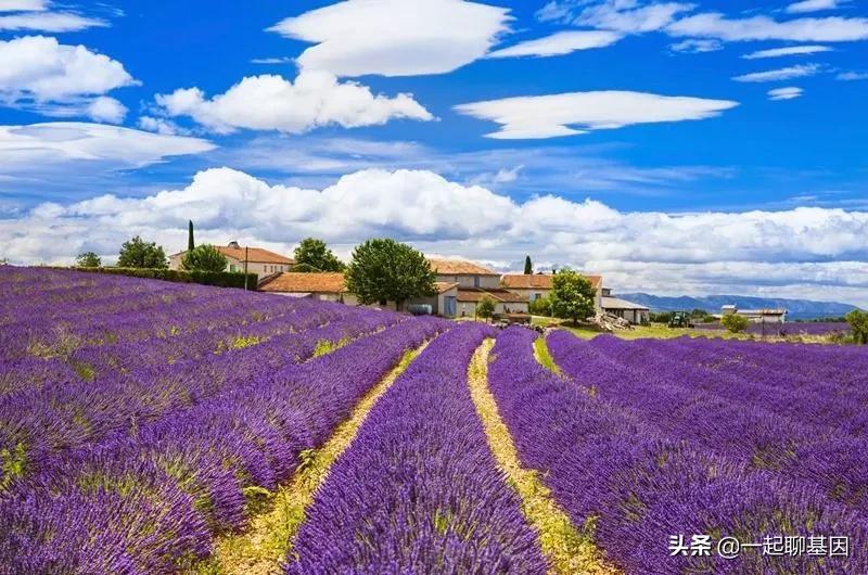 多梦调理助眠视频,失眠多梦怎么办教你一招