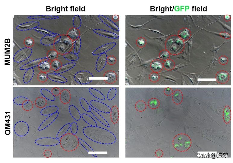 真正有效的防雾霾口罩,防霾口罩有用吗