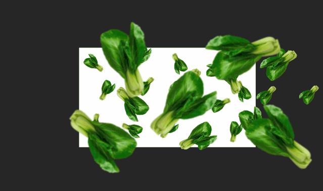 ppt动态环状图制作,ppt多图动态效果制作