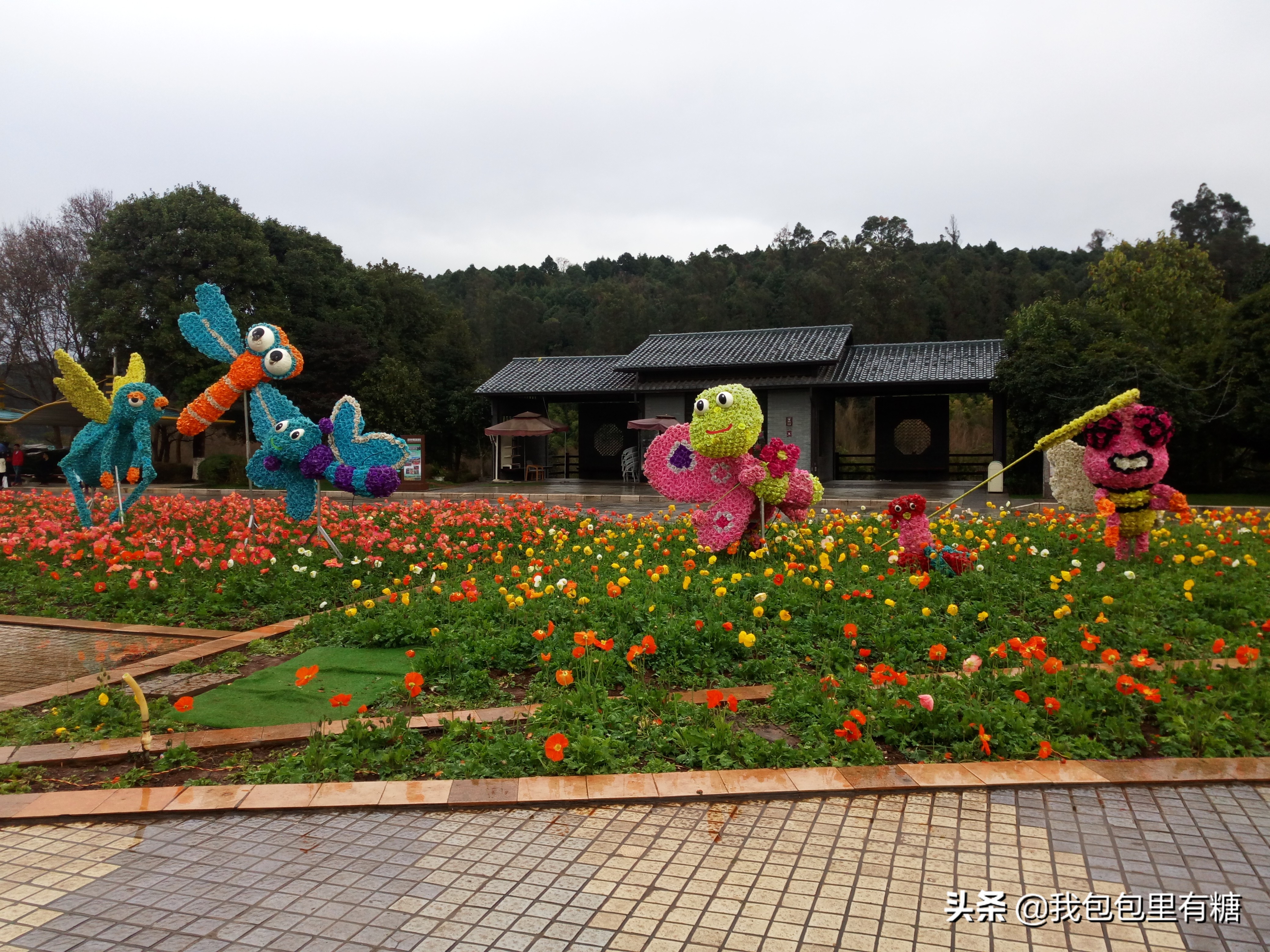 昆明人眼中的世博园,23年前开园的昆明世博园依然美丽