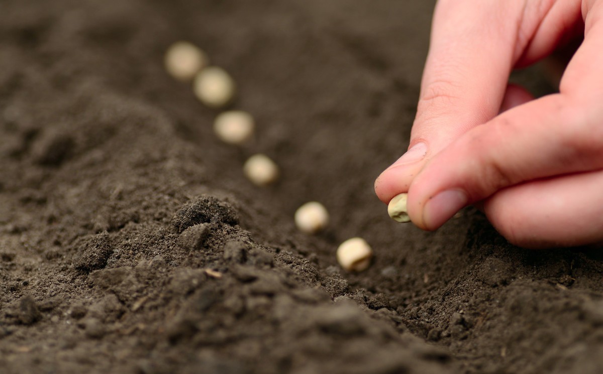 报告：智慧农业或成全球经济新增长点；新知识！什么是农业4.0