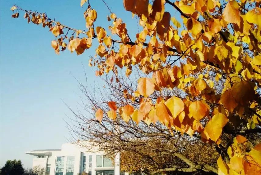 沈阳医学院在辽宁排名,沈阳医学院全面介绍