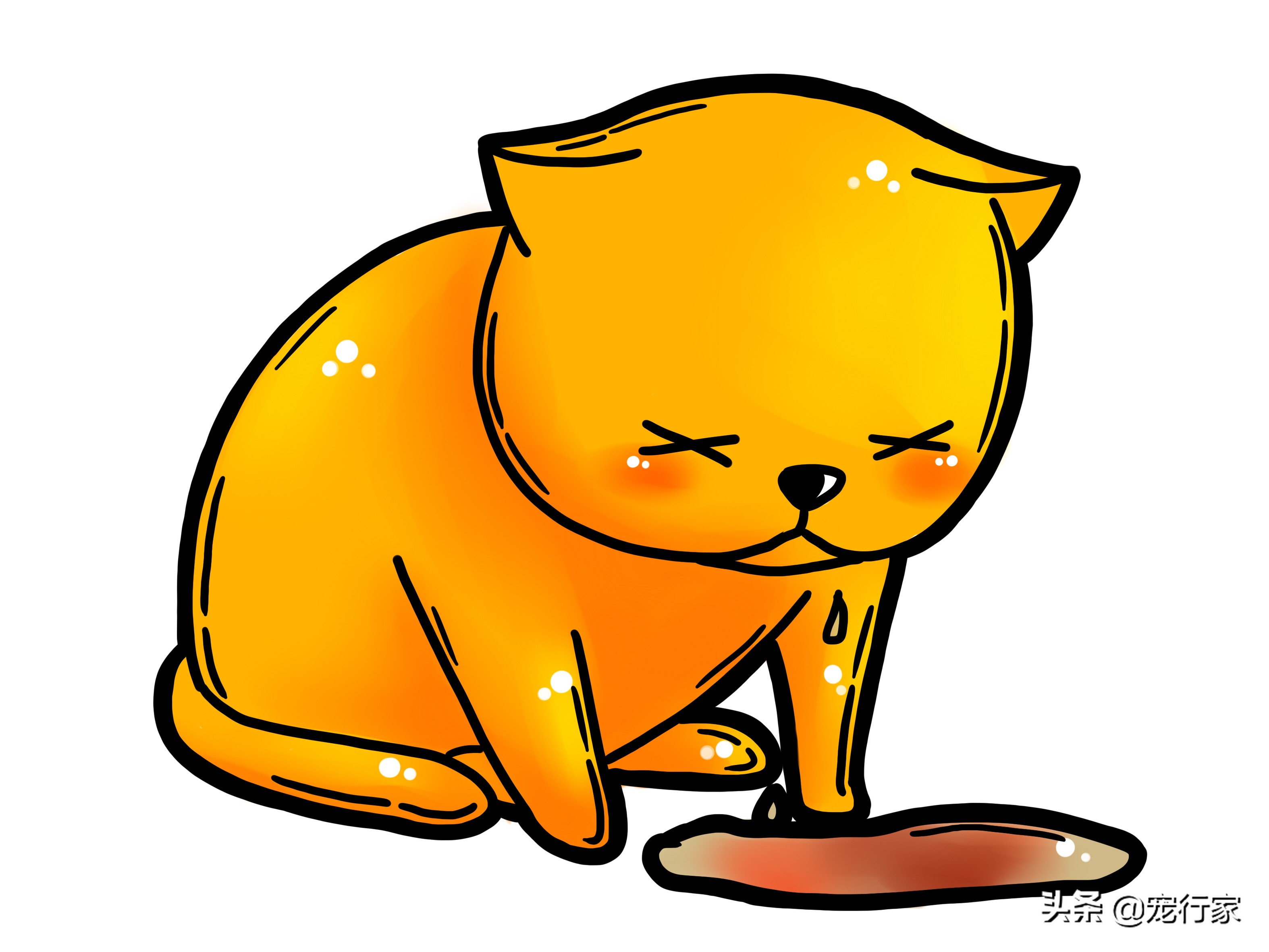 猫的呕吐物很油,猫呕吐的原因及治疗办法