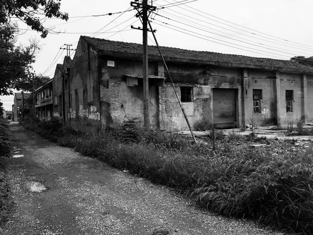 阿婆抚养黑人弃婴18年，历经千辛成为上海人，现在生活怎么样