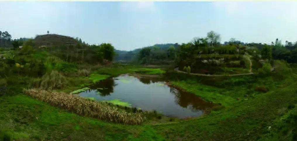 庆祝新中国成立70周年新闻报道,庆祝新中国成立70周年特辑宣讲