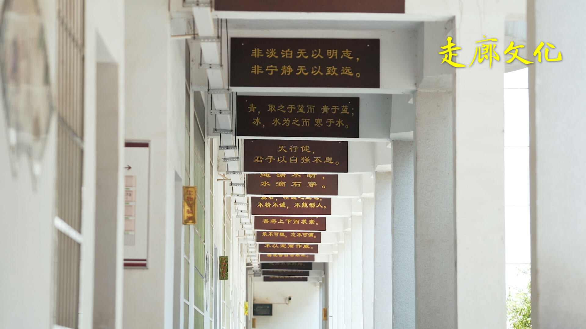 春风化雨荷露角——写在津市市新洲中学温馨校园建设中