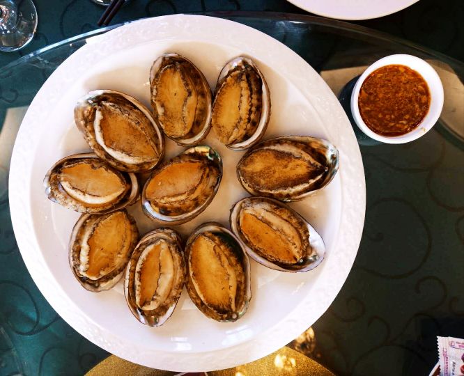 过年买海鲜买哪里的,海鲜市场什么东西可以养