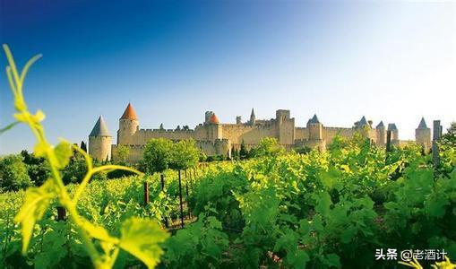 智利葡萄酒和宁夏葡萄酒,法国葡萄酒和智利葡萄酒