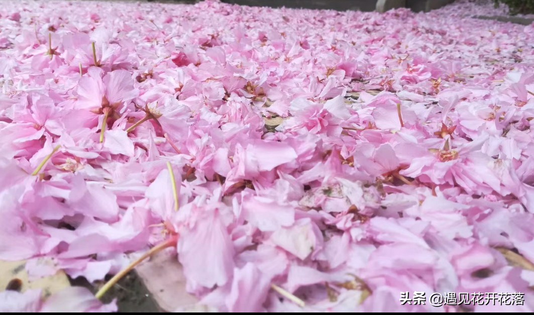 做媒人要做点啥事情,媒人的那些事儿