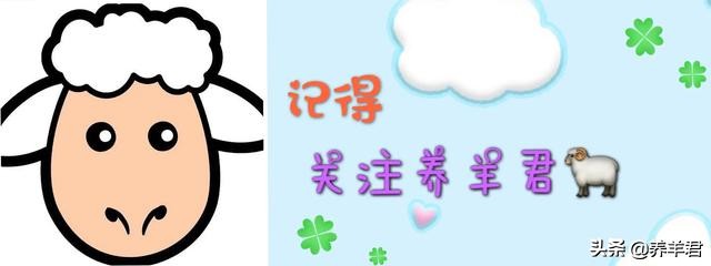 羊寄生虫发病原因,羊的几大寄生虫病