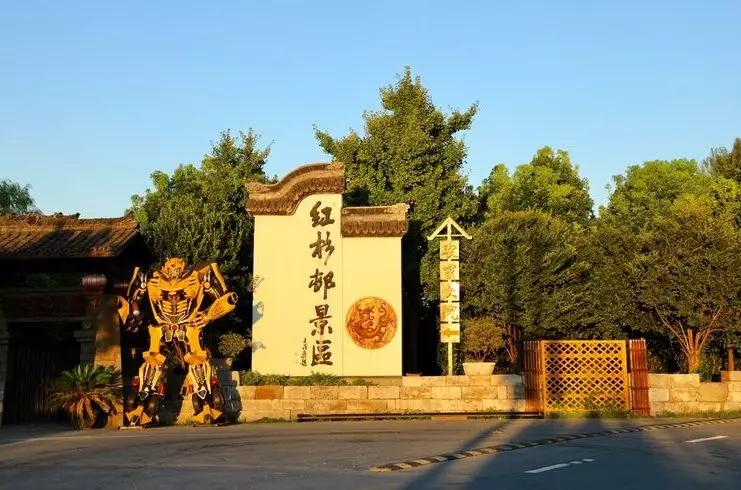 致敬最美逆行者活动效果,致敬各类最美逆行者