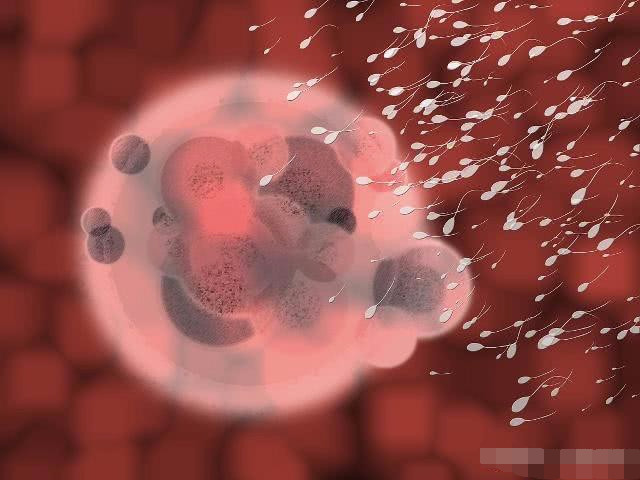 备孕前吃叶酸好还是怀孕了吃更好,备孕前吃叶酸和什么怀孕最快