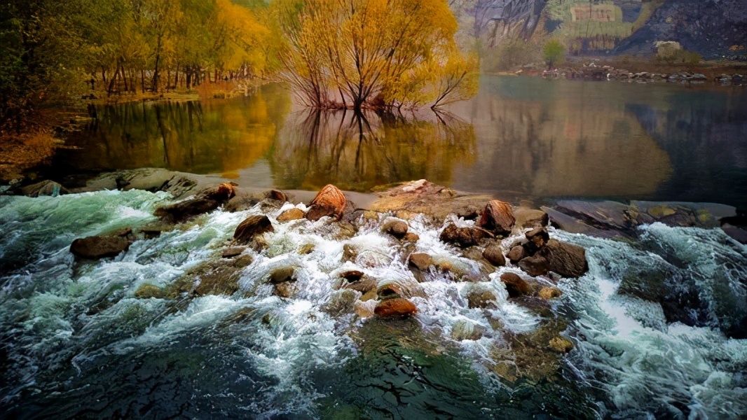 济源旅游景点推荐猴山,济源附近免费旅游景点有猴子