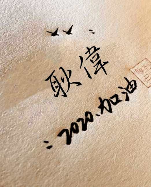 管理学知识点专升本,管理学知识体系