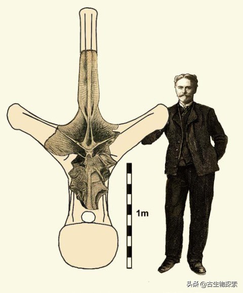 史上最大的超巨型恐龙,最新世界上最大的巨型恐龙