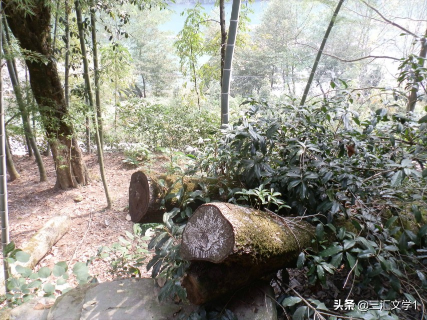 航拍湖南怀化沅陵美丽乡村,怀化最美乡村