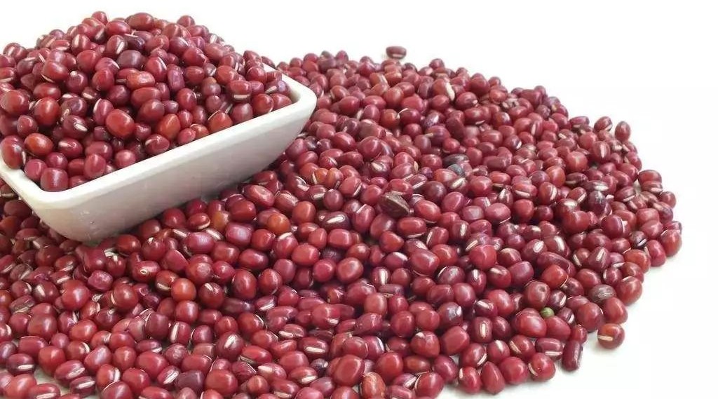 农民直播耕种、锄草、出穗、收获，通过手机把农产品卖到全国