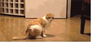 *处私**痒痒痒，「洗洗」能止痒？你还要被骗多久