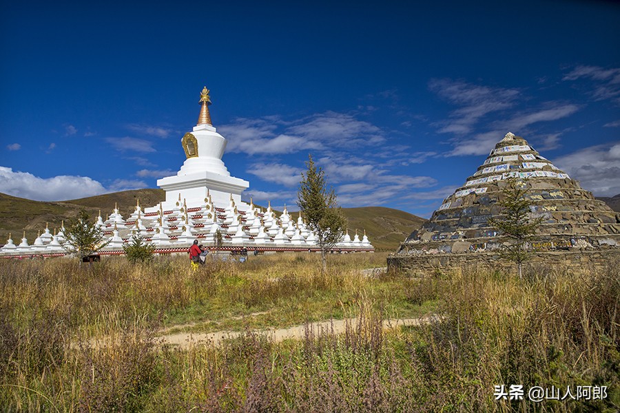 宸濊タ楂樺師澶ц崏鍘熺殑璺笂鐓х墖,闈掕棌楂樺師涓婄殑鑽夊師闆北椋庢櫙