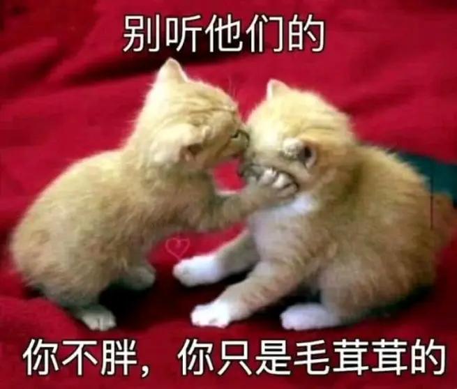 撩妹情话最暖小视频,撩妹暖心的手段