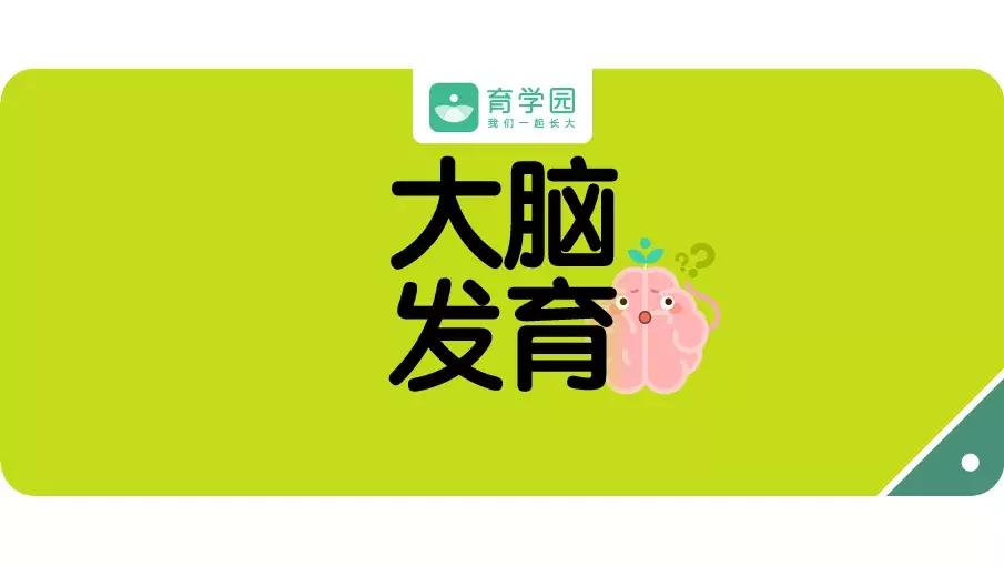 补脑不能吃什么,补脑别只会吃核桃