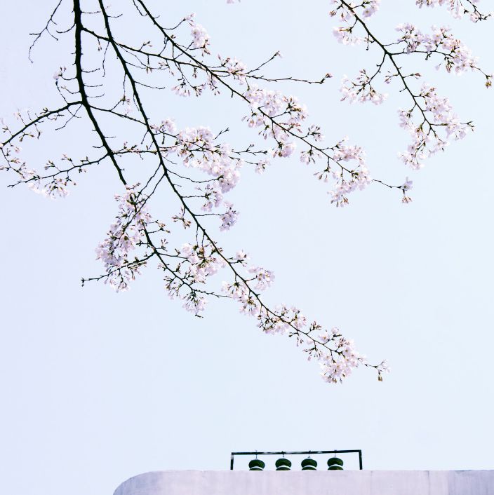 2020旅行时间表,2021年旅行时刻表出炉