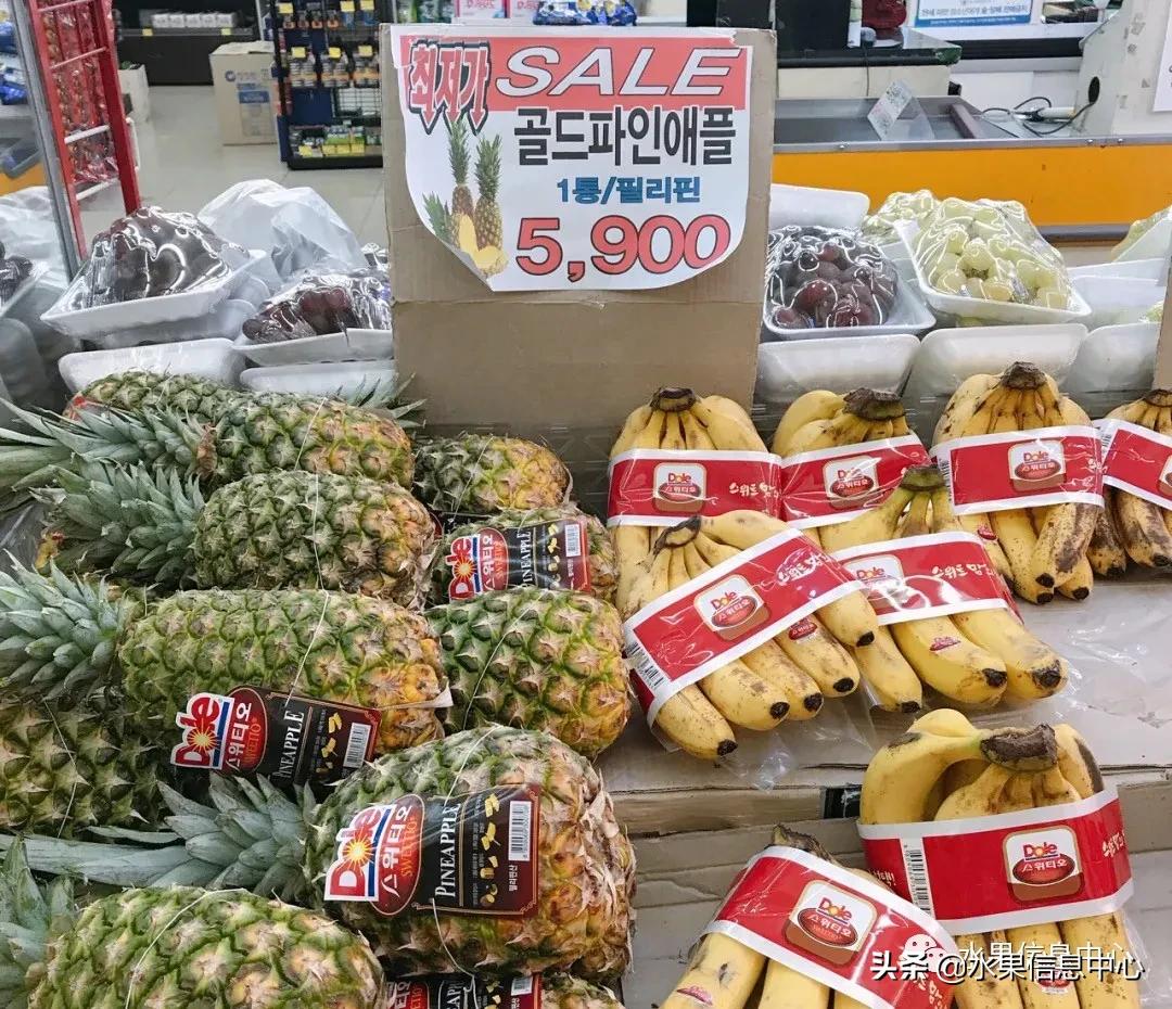 韩国的蔬菜水果批发市场,韩国最便宜的苹果水果