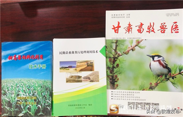 决战脱贫攻坚的微视频,甘肃武威民勤养羊