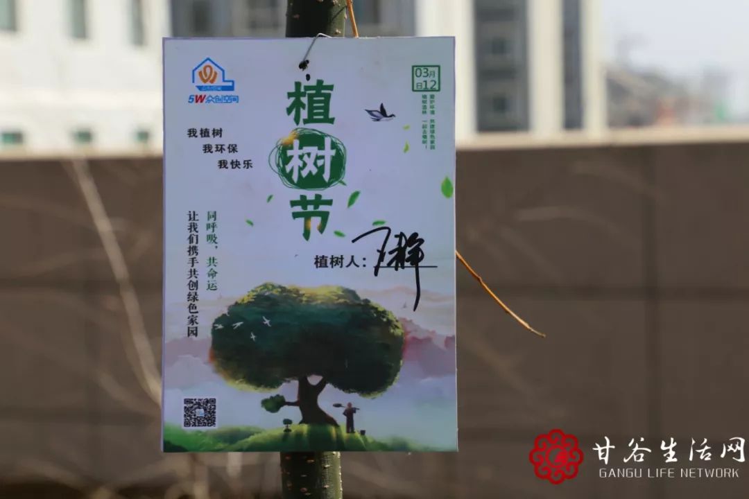共植成长树，携手创业路——为甘谷这群创业青年打call！