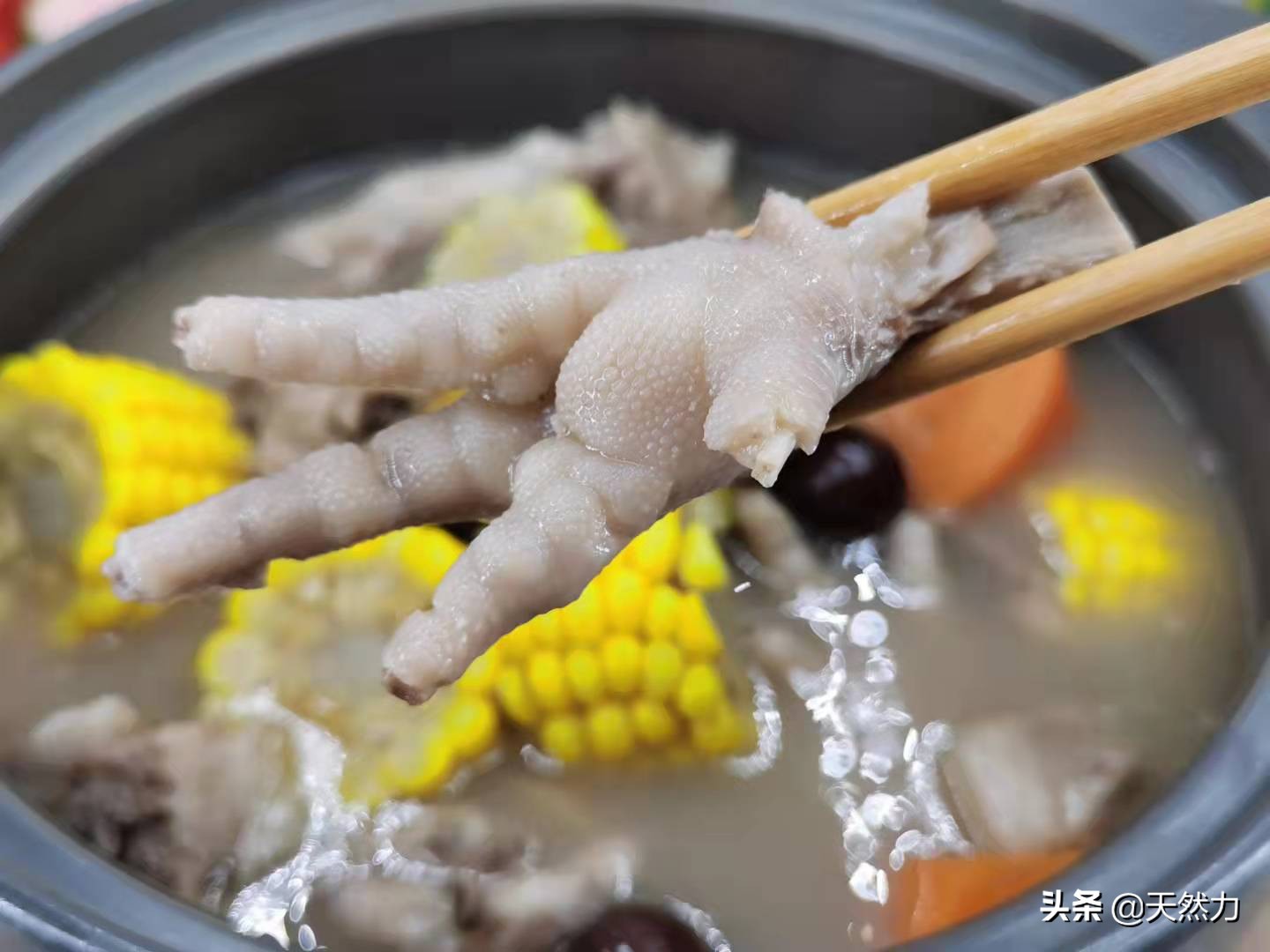 广东板栗骨头汤的做法,排骨靓汤家常煲汤大全