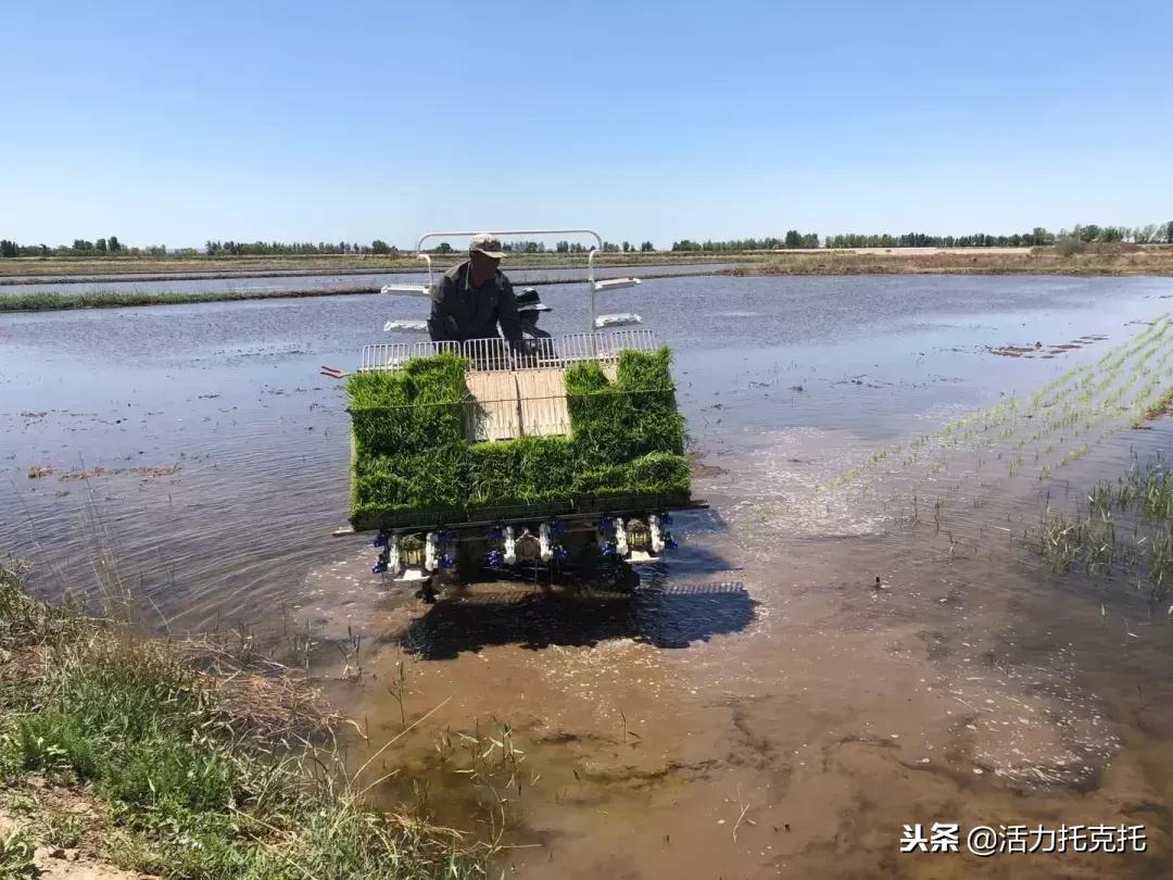 改革开放四十年来的巨变视频,改革开放小岗村印记