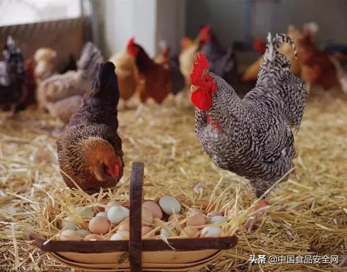 消费者投诉产品吃出异物,买家说吃出塑料投诉到工商局