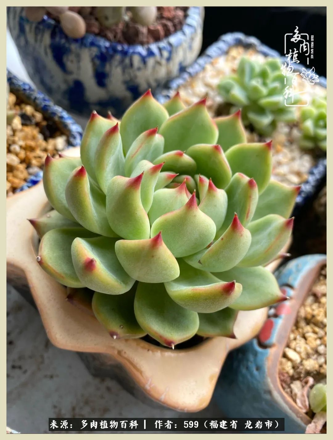 所有的热爱都不遗余力,所有的忙碌都是因为热爱