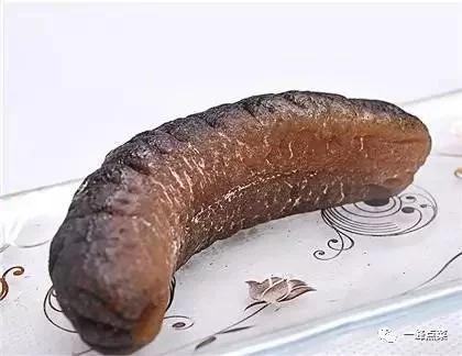 海参十大产地排名,国外十大海参官方排名