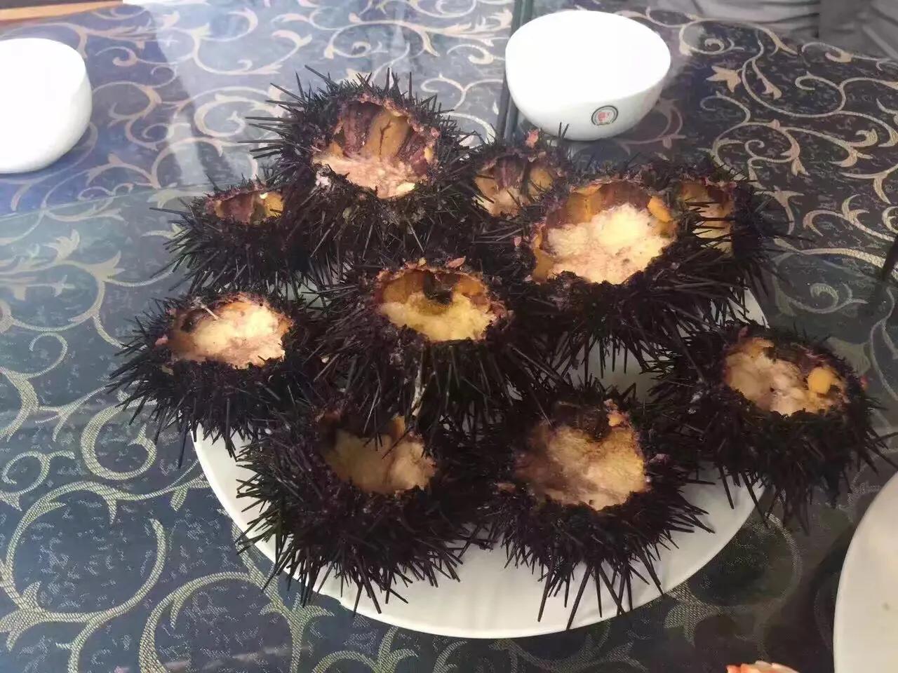 山东长岛自驾游,山东省长岛自驾游攻略