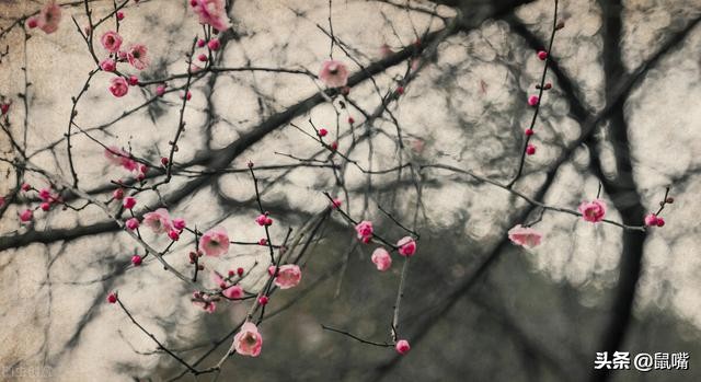 韩非子五原文及翻译,韩非子原文翻译及注释276页