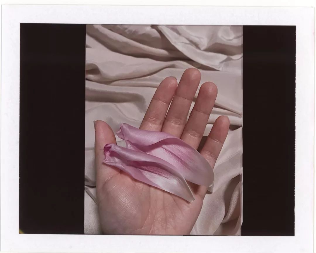 什么花最受女孩欢迎,女孩子中比较受欢迎的花