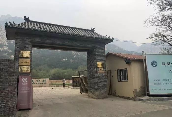 北京12家高端素餐厅,北京老字号素餐厅