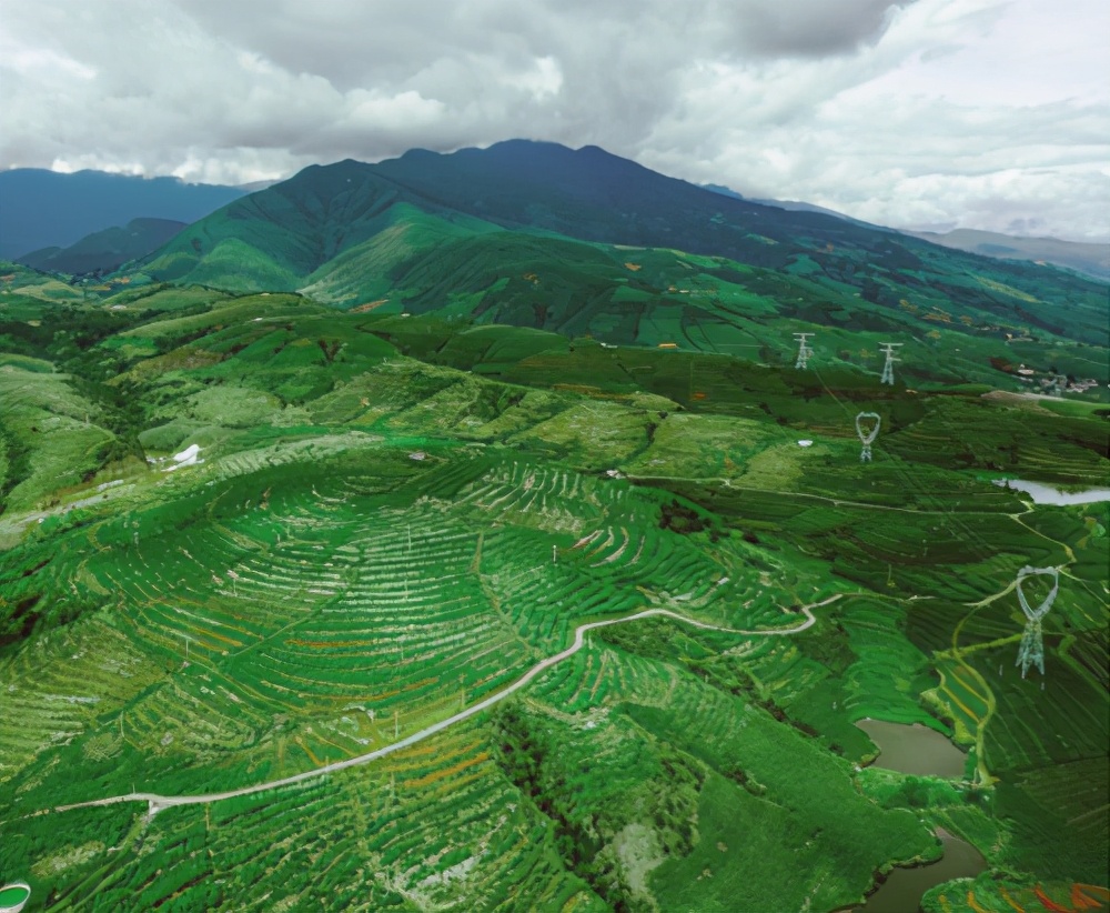 化妆品魔力肌源,cbd护肤品前景