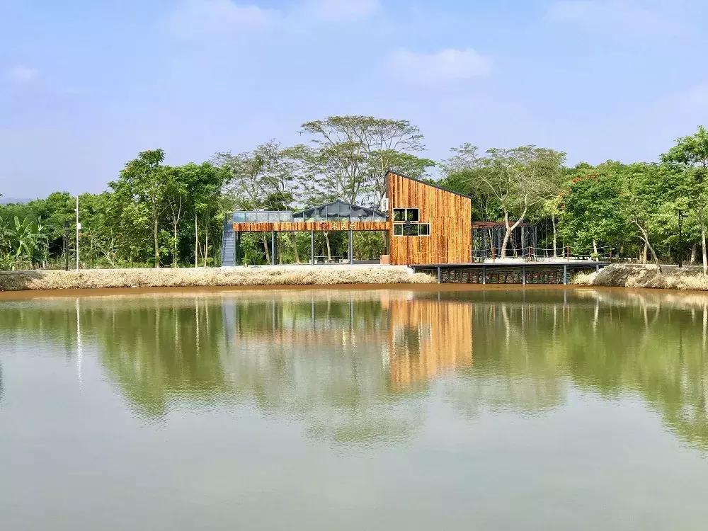 碧桂园精准扶贫宣传片,新华社点赞碧桂园产业扶贫模式