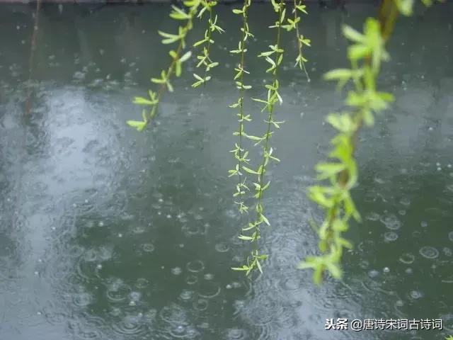 朋友是什么样的人怎么回答,真正的朋友是什么深度解释