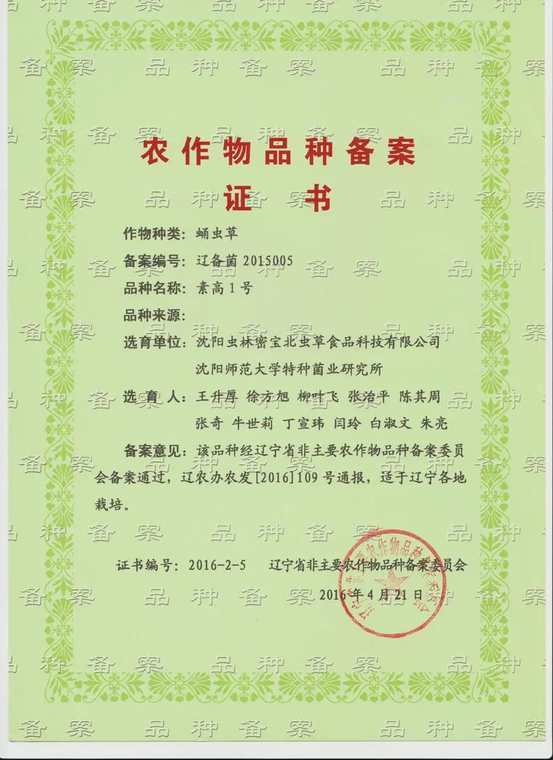 假如虫草会说话——访蛹虫草