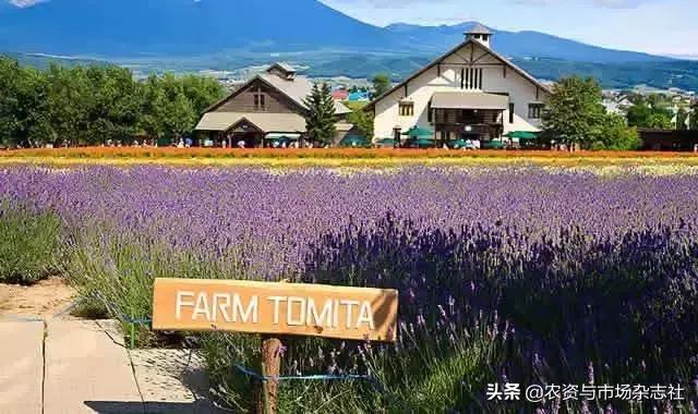 日本农业成功的主要经验,中国和日本农业差距50年