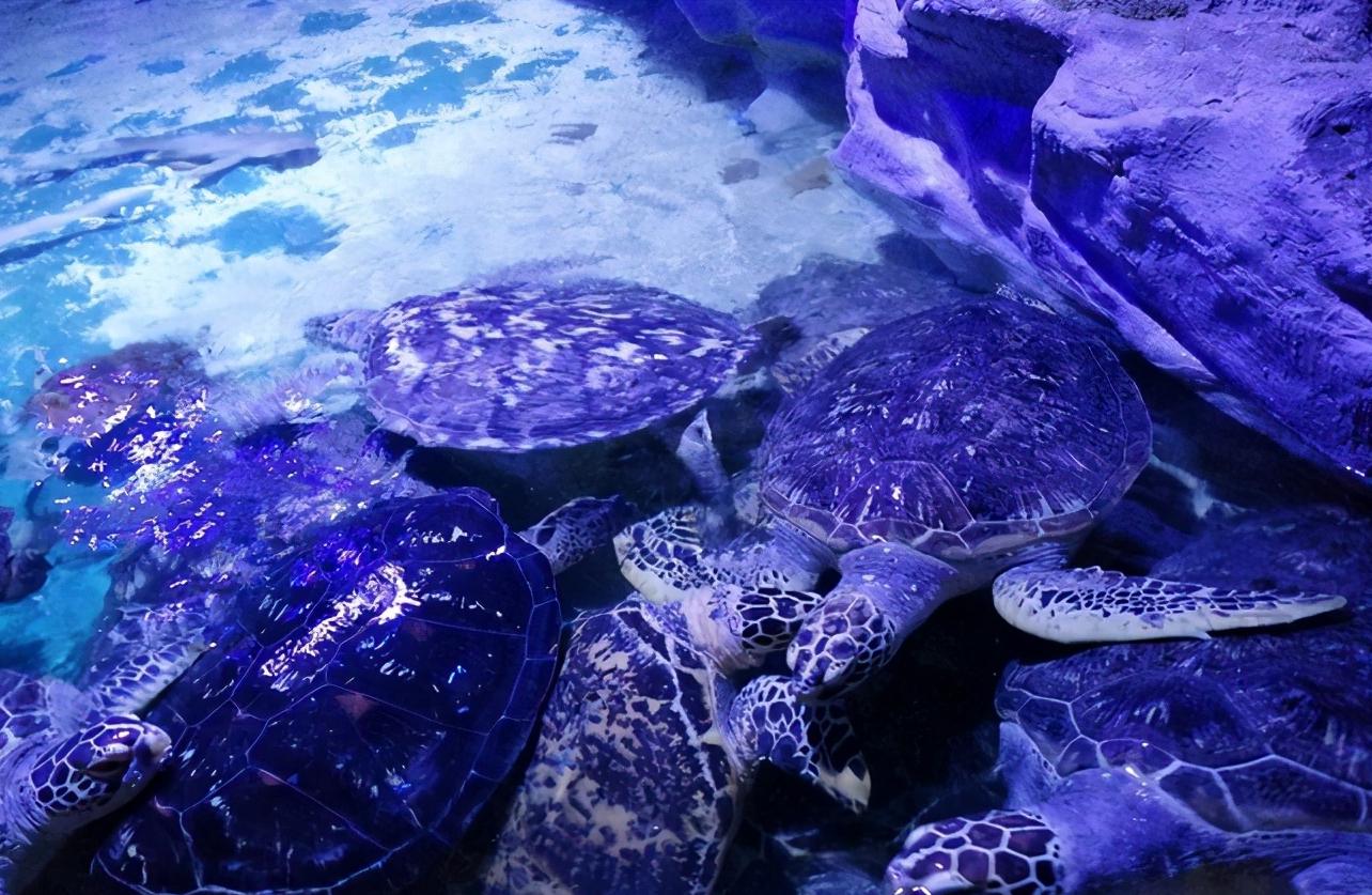 辽宁省14个市抚顺排第几,辽宁抚顺都有哪些区